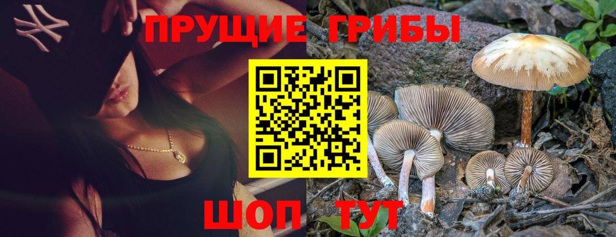 Псилоцибиновые грибы Magic Shrooms Алексеевка